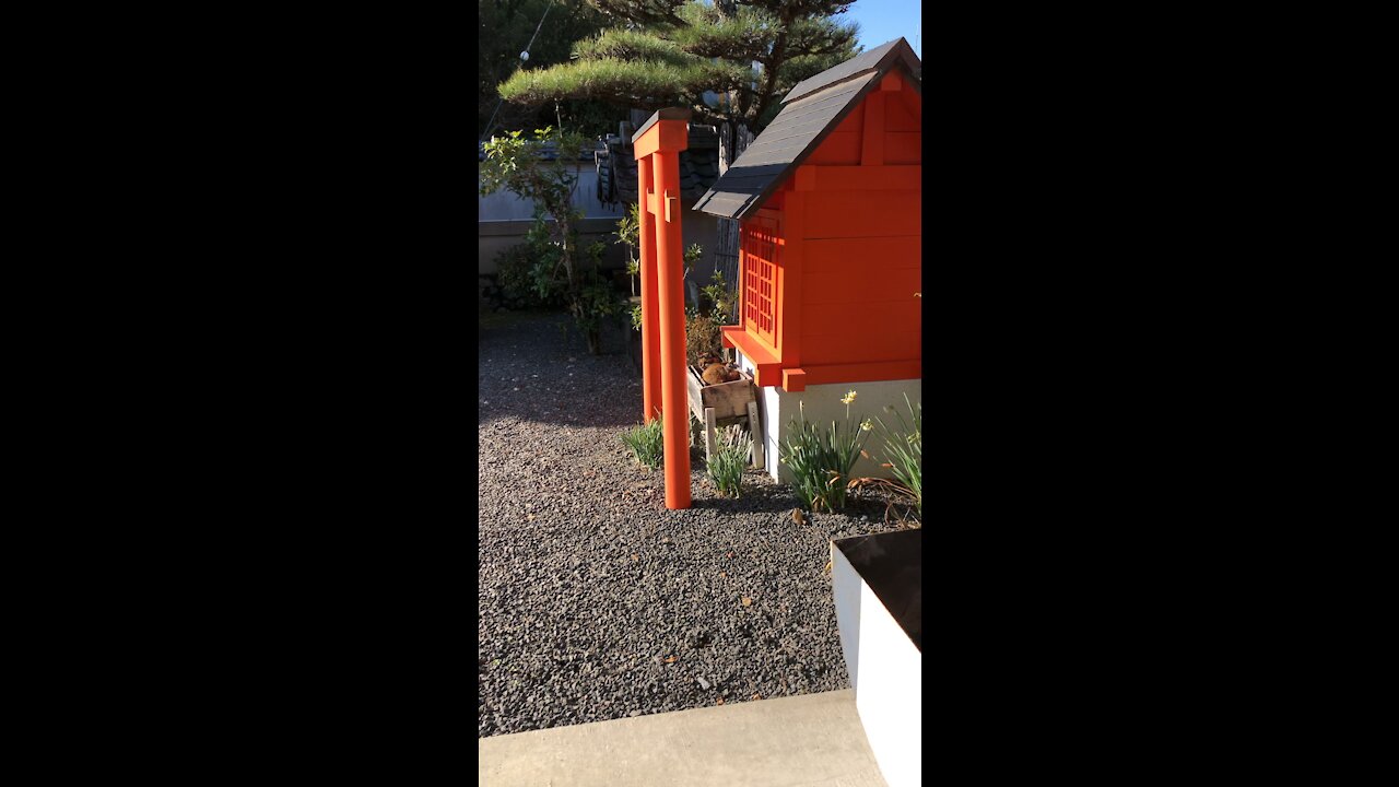 Waking up from her cozy bed