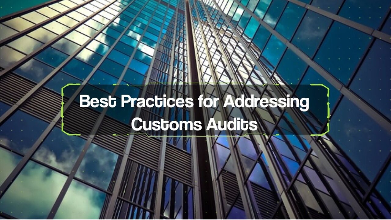 What Are the Key Steps in Addressing Customs Audits?