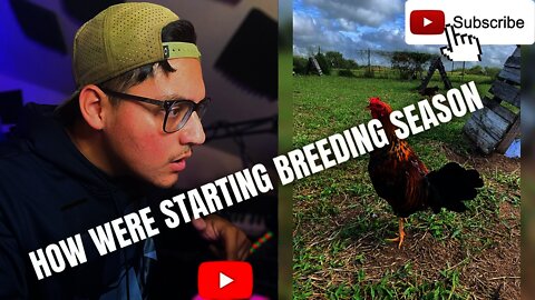 HOW LWF is Starting GAMEFOWL Breeding Season 2021