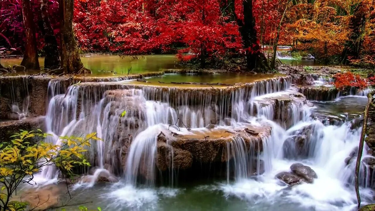 Música Relajante - Calma y elimina la ansiedad, Piano y Naturaleza