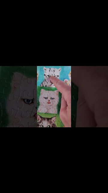The Cats are adorable! #puzzle #cats #shorts #cat