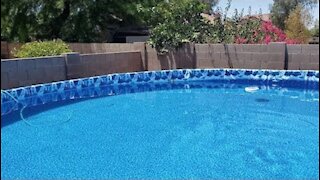 Overlapping Swimming Pool Liner Install Intex Coleman 22 x 52