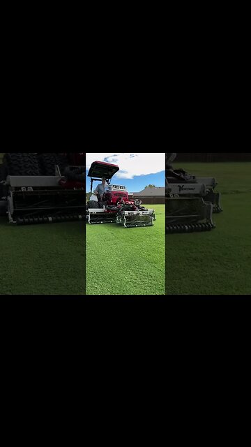 Reel Mowing Overgrown Grass