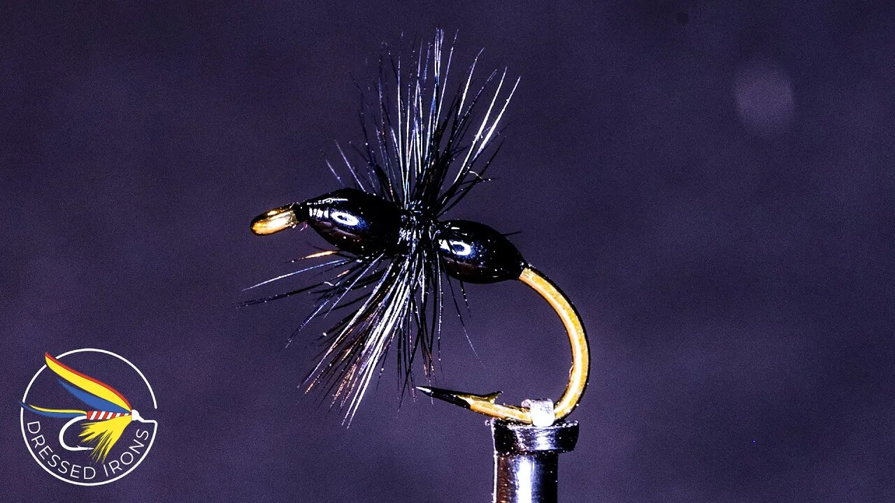 Tying the Black Ant - Dressed Irons