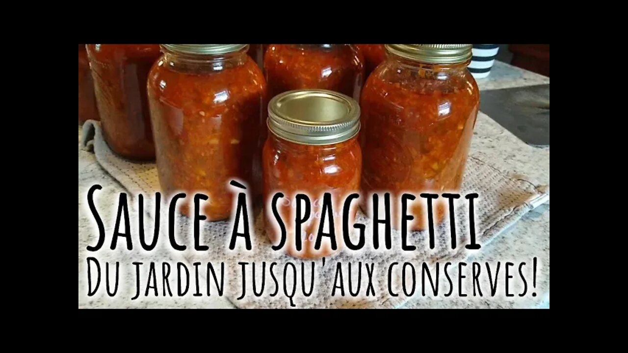Recette de SAUCE SPAGHETTI en conserve... hmmmm! 😋 #242