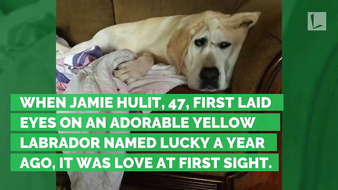 She Takes One Look at Abused Dog’s Funny Face and Immediately Says ‘I Want Him’