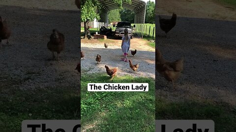 The Chicken Lady