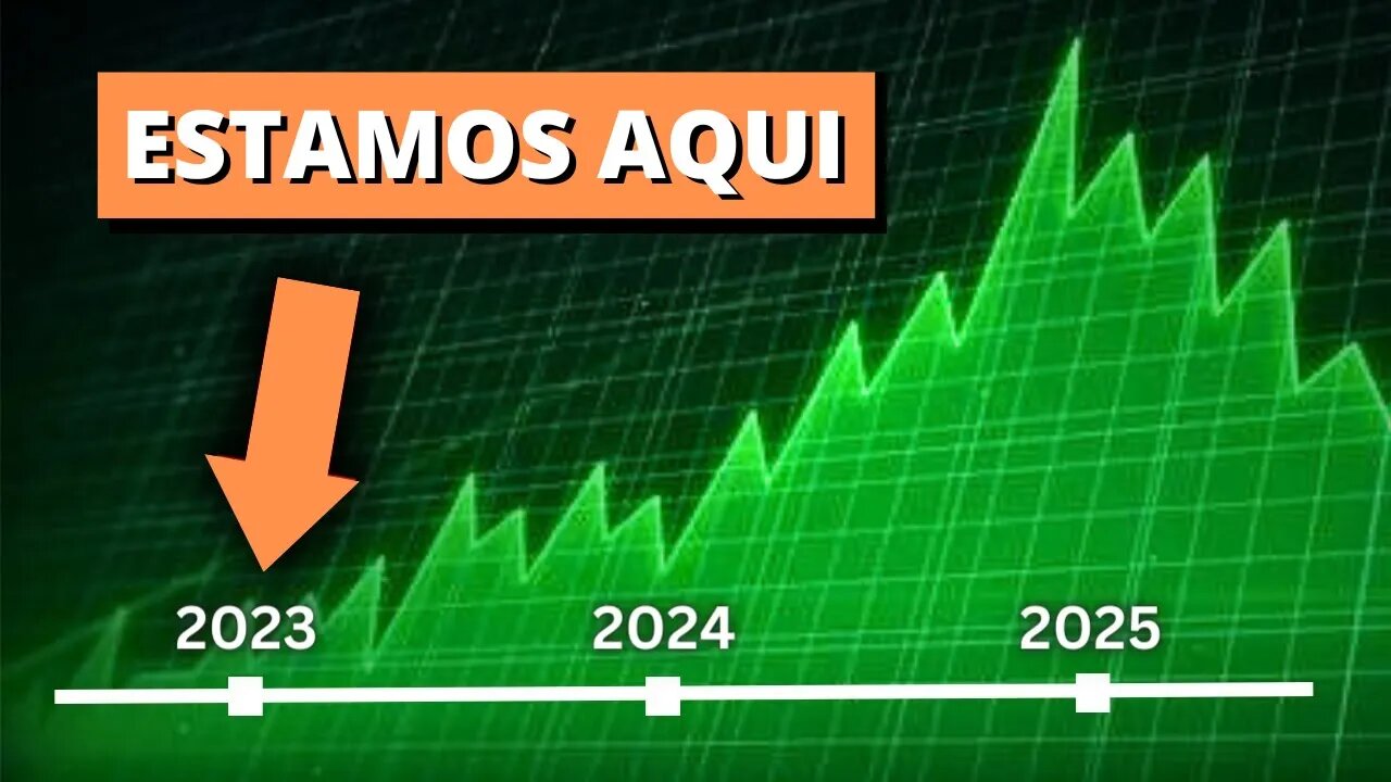 O maior Bull Market de Criptomoedas está chegando!