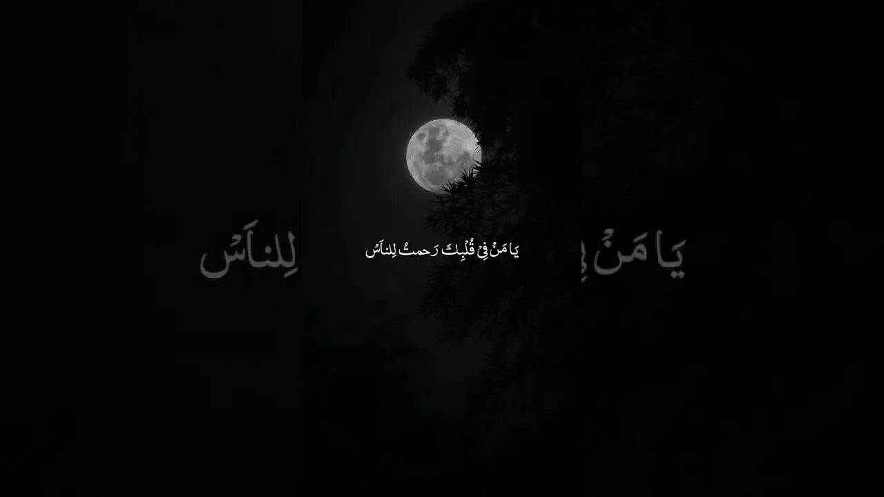 sukoon #viralplz #trendingshorts #trendingshort #mohammadcreation