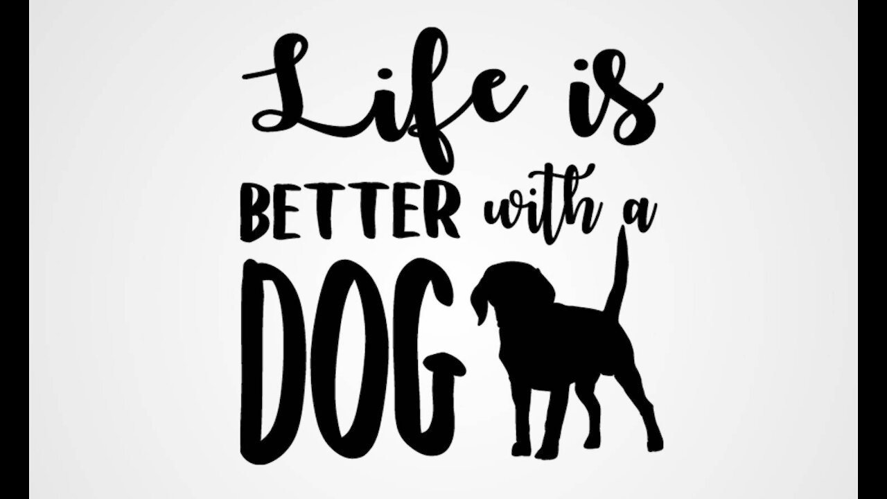 Life's Better With A Dog