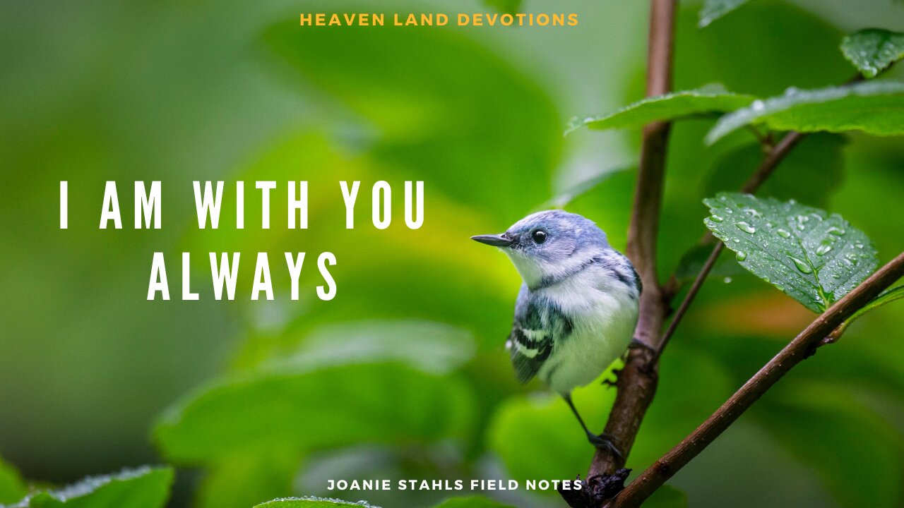 Heaven Land Devotions - I Am With You Always