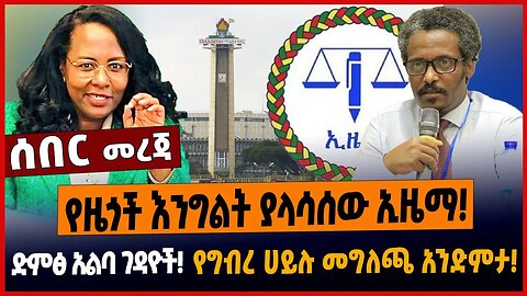 ድምፅ አልባ ገዳዮች❗️ የዜጎች እንግልት ያላሳሰው ኢዜማ❗️ የግብረ ሀይሉ መግለጫ አንድምታ❗️
