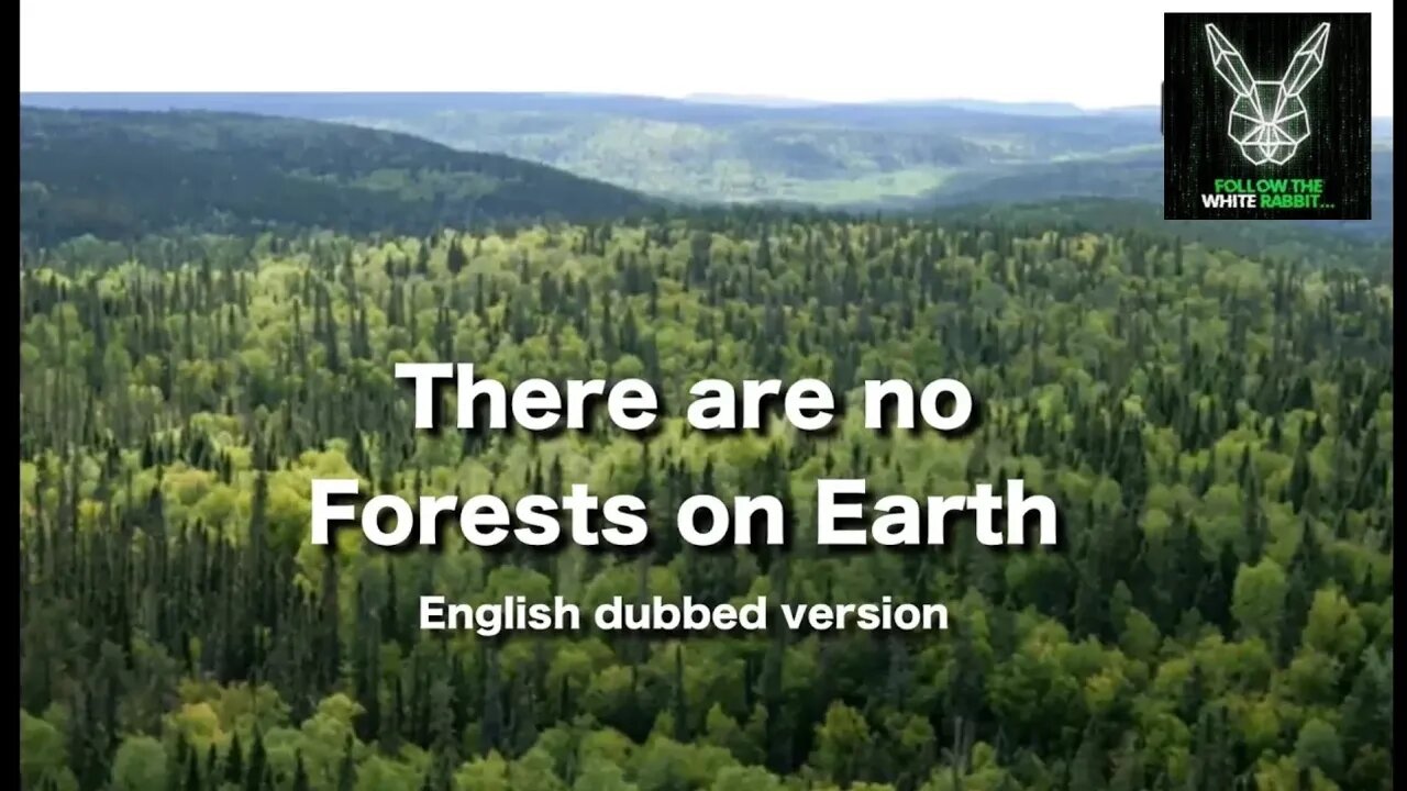 There Are No Forests on Planet Earth (Original Documentary)