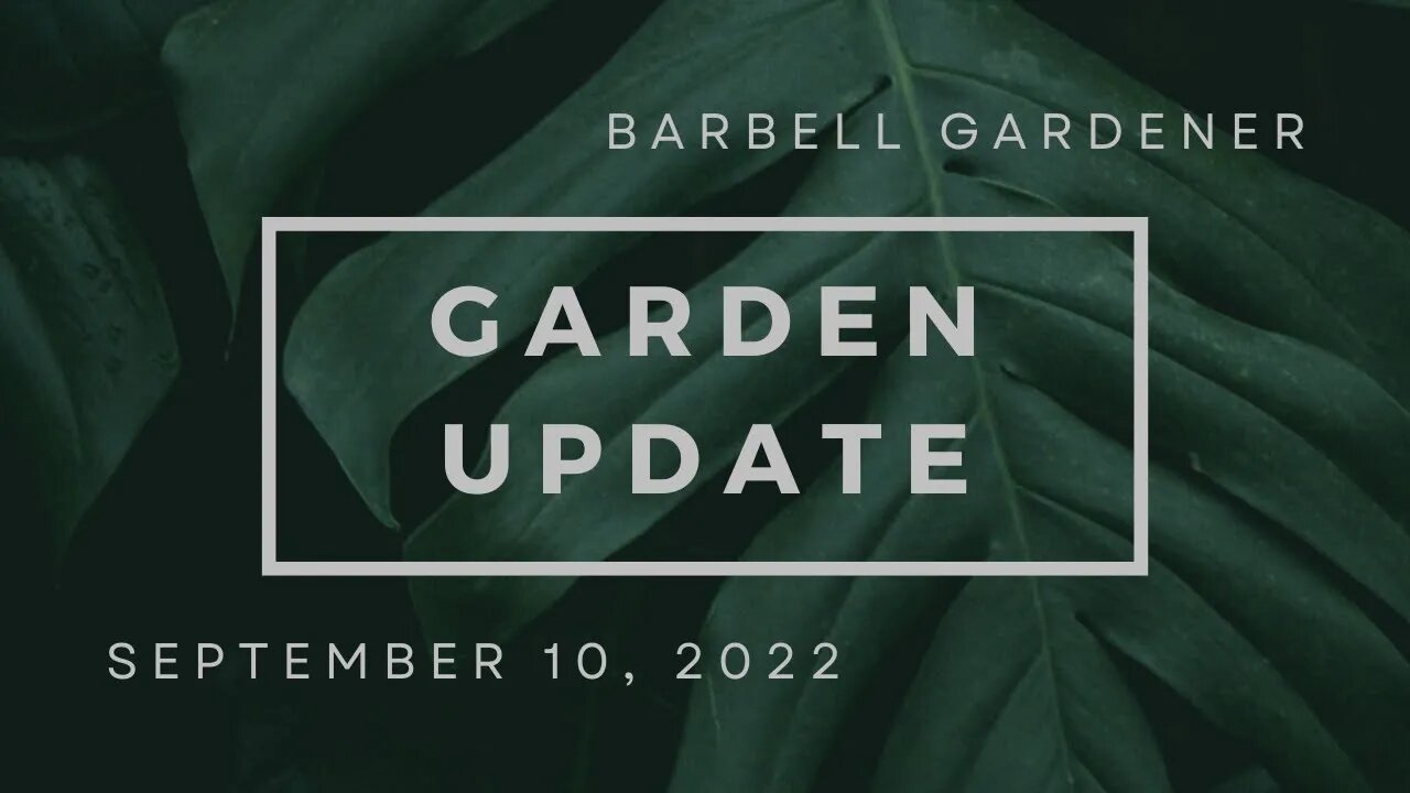 Sept 10, 2022 garden update