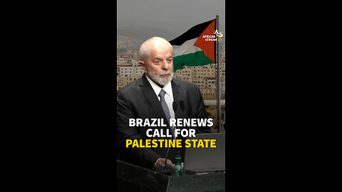 BRAZIL RENEWS CALL FOR PALESTINE STATE