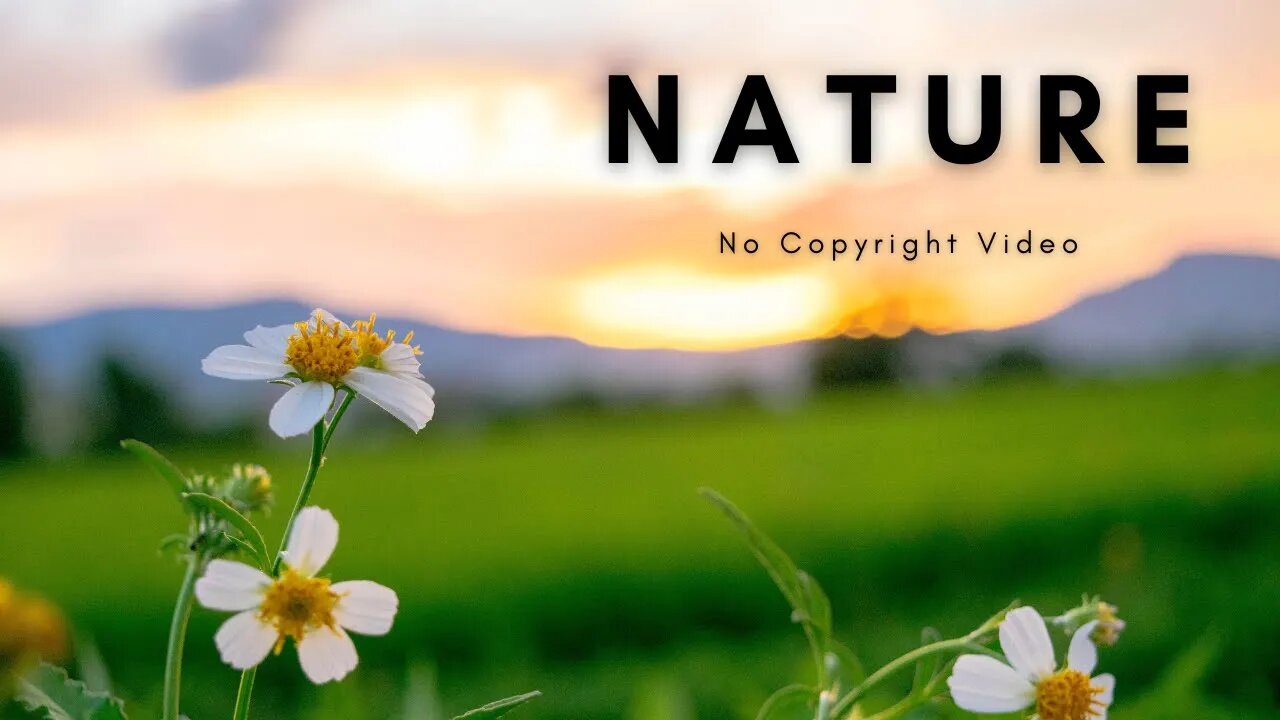 Beautiful Nature | Landscape | Background Video