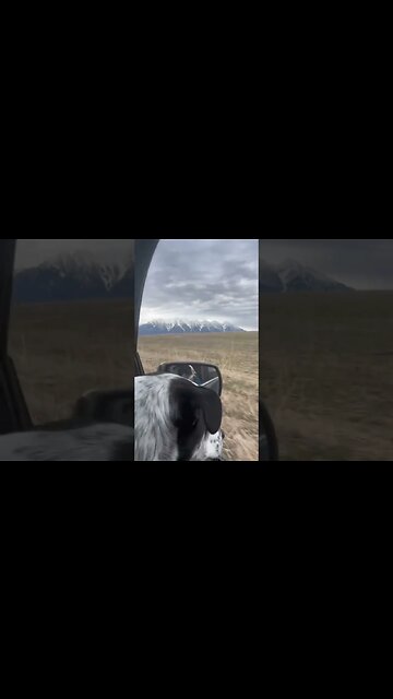 2,300km BC/Alberta Roadtrip