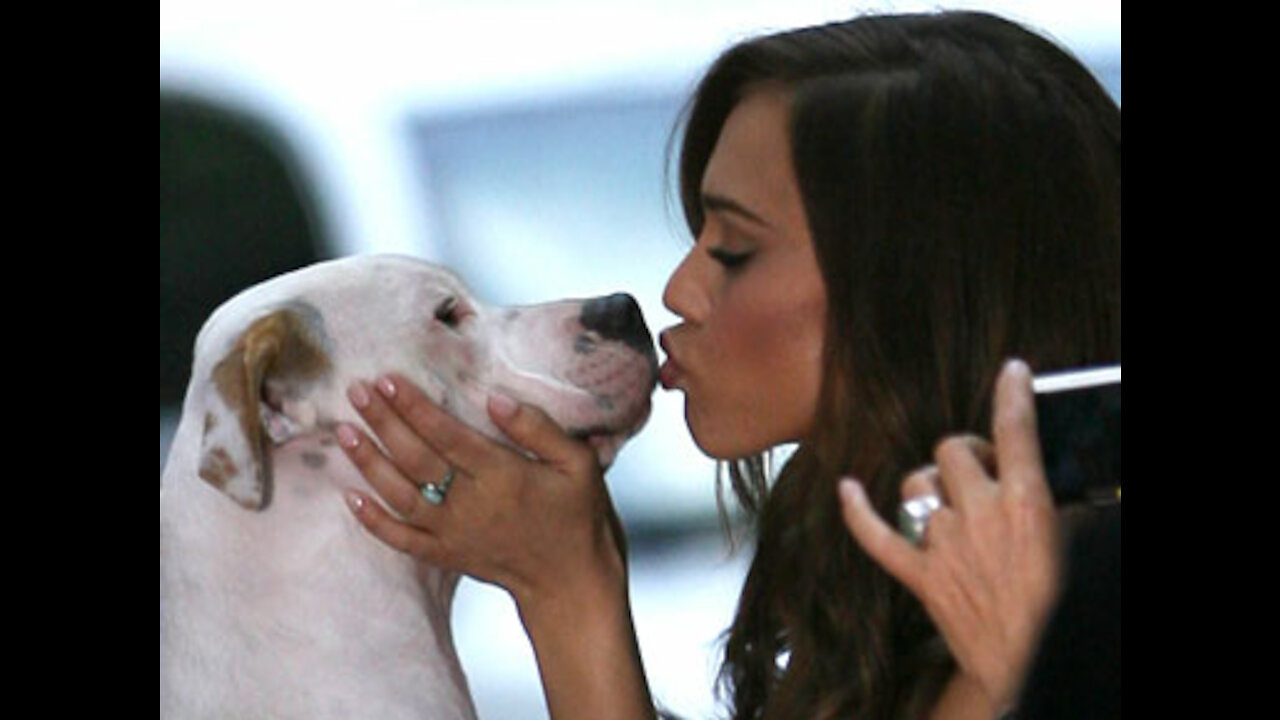 The love of the wolf and the man