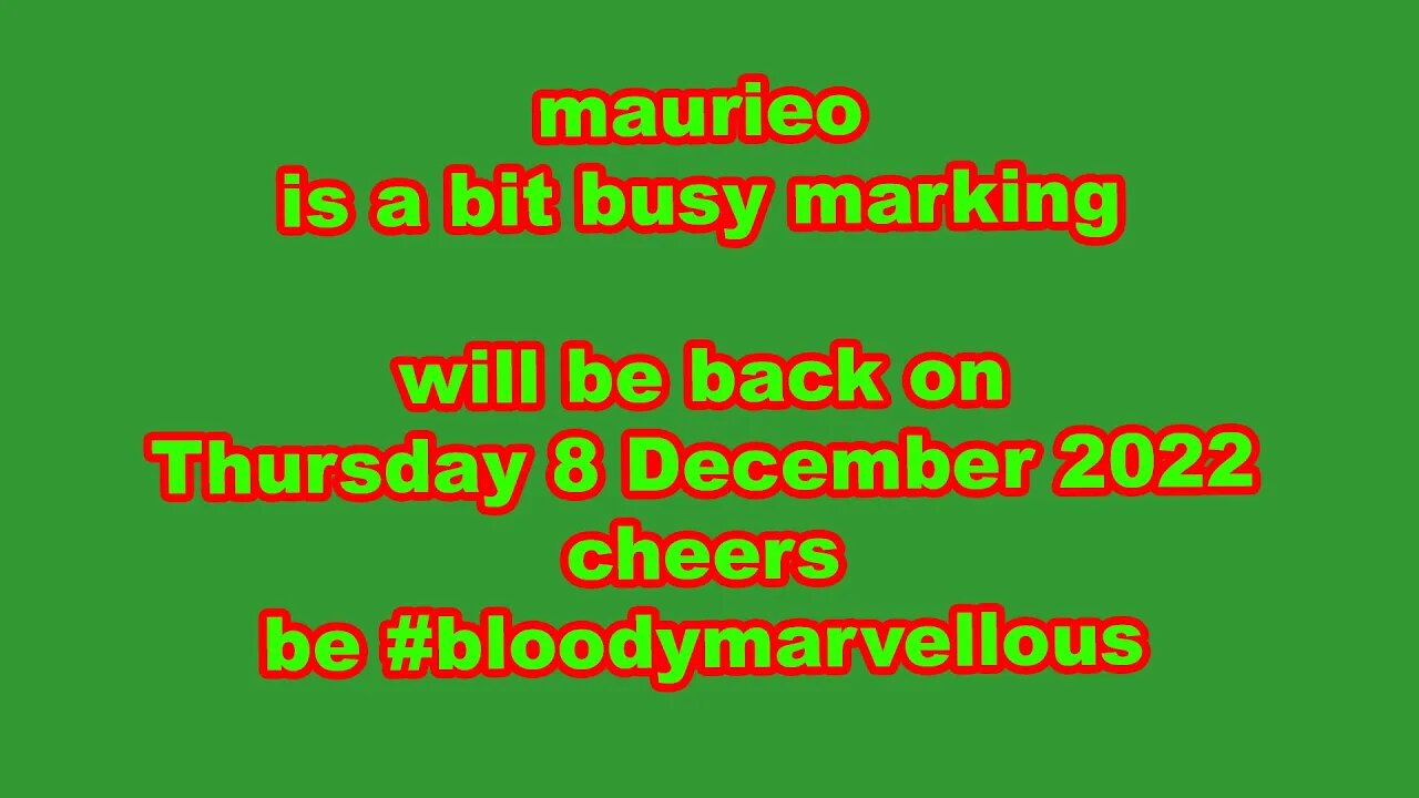 maurieo is a bit busy MARKING MARKING MARKING