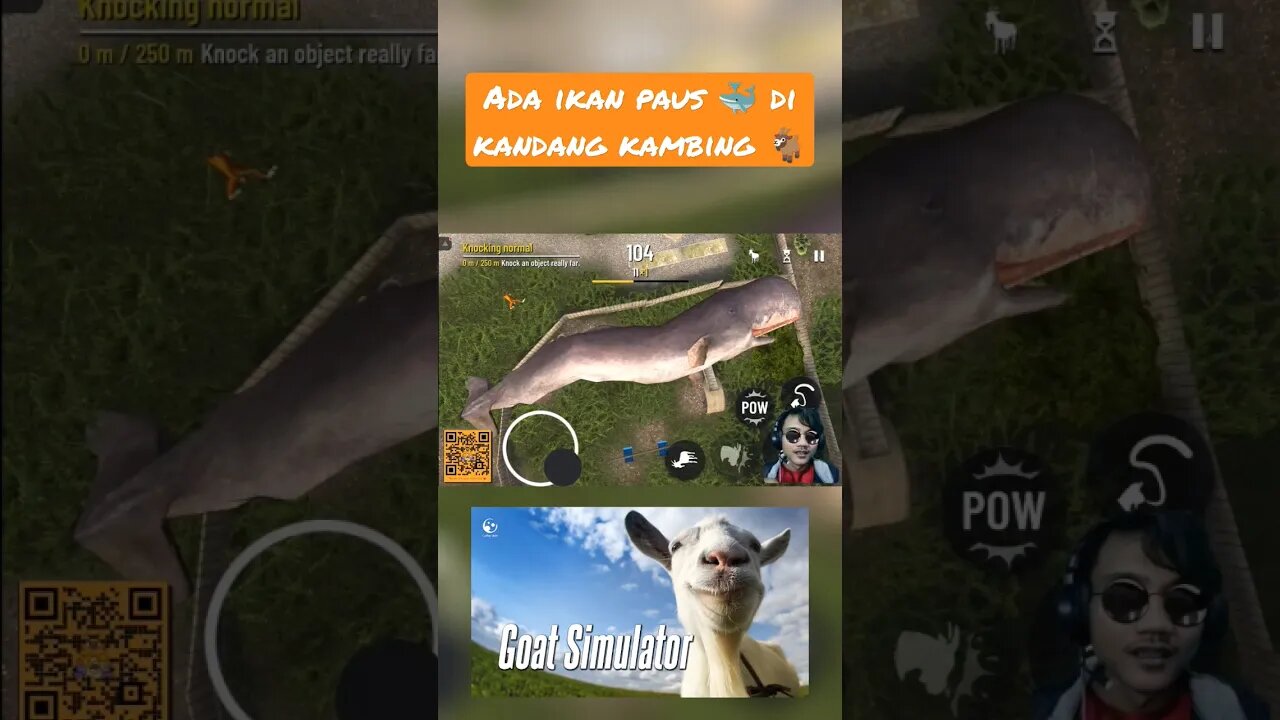 Ikan paus 🐳 di kandang kambing 🐐| goat simulator #game