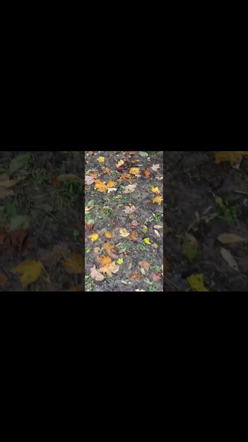 I just walked past some kids in hi viz vests in the woods. Children will be growing up in fear