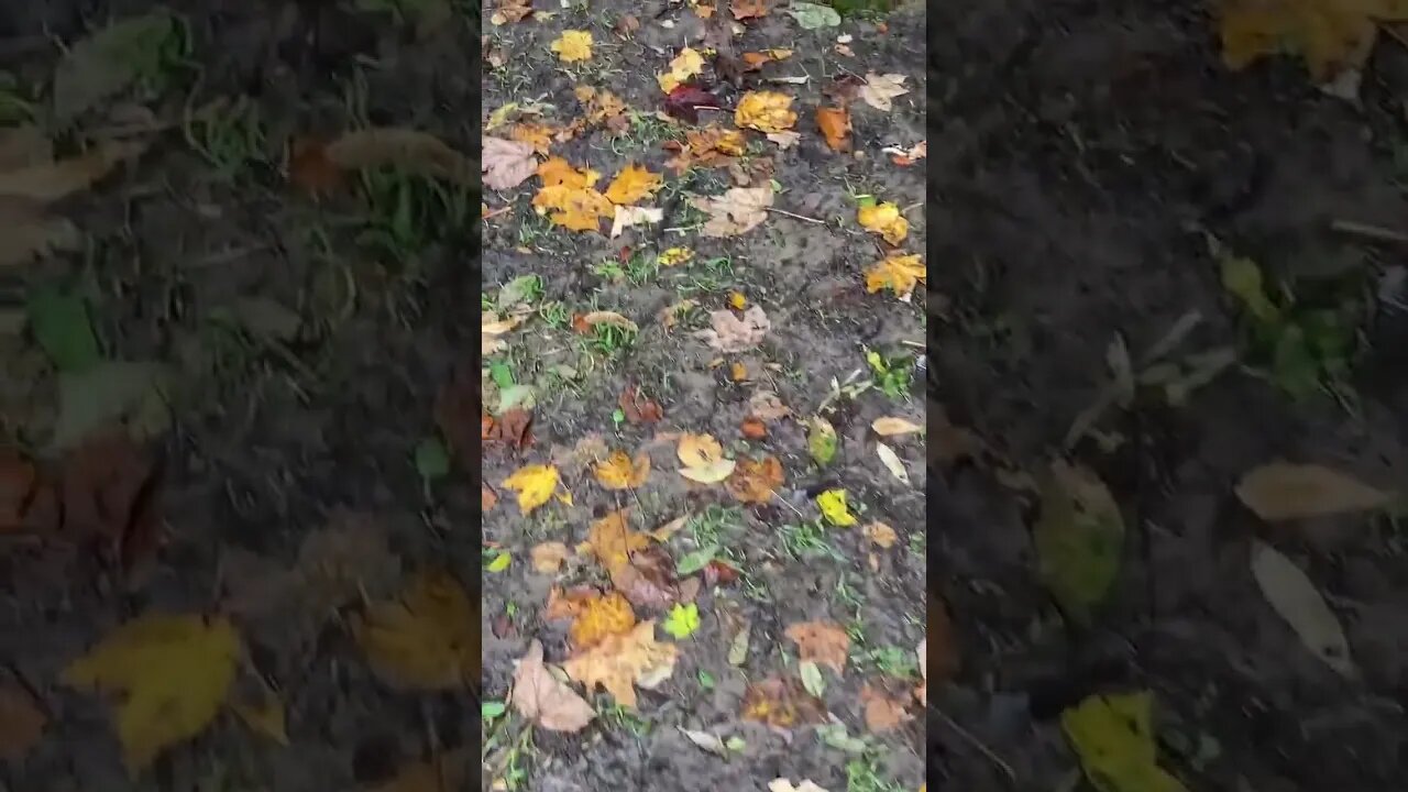 I just walked past some kids in hi viz vests in the woods. Children will be growing up in fear