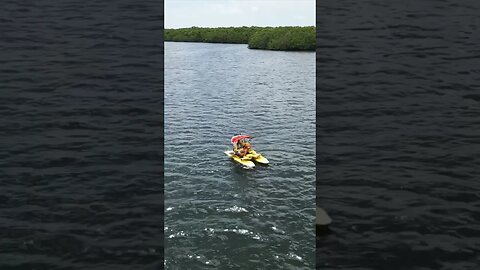 Playing with Water Toys & CraigCat 🏝️ #thekeylargodude #craigcat #keylargo