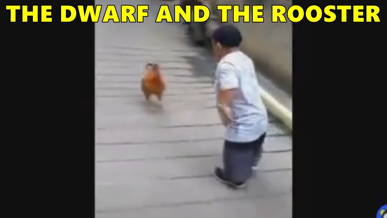 THE DWARF AND THE ROOSTER