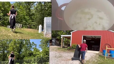 Goat milking | Teenage farmstead