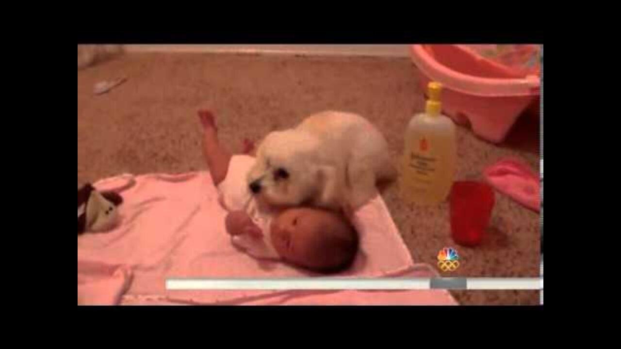 Adorable puppy rushes to save baby from blow dryer attack!