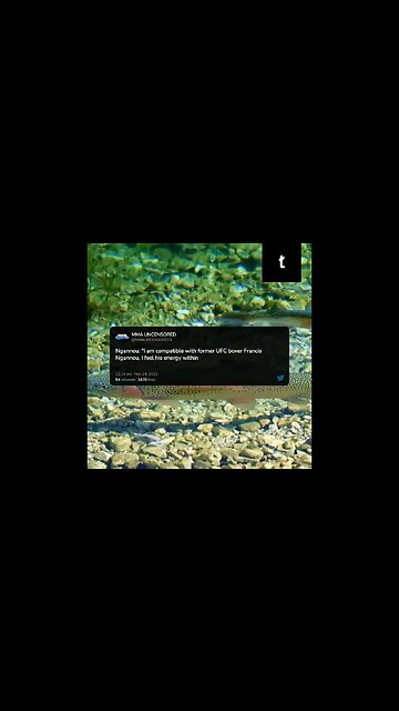 Kim Kardashian on Francis Ngannou