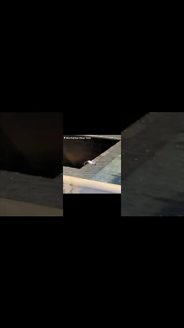 Terrifying Moment: Man Jumps 30 Feet into 9/11 Memorial Pool in Manhattan, New York 🚨