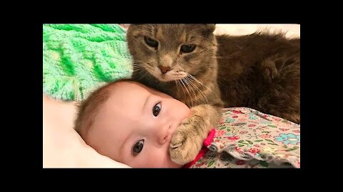 Baby and Cat Fun and Fail - Funny Baby Videos