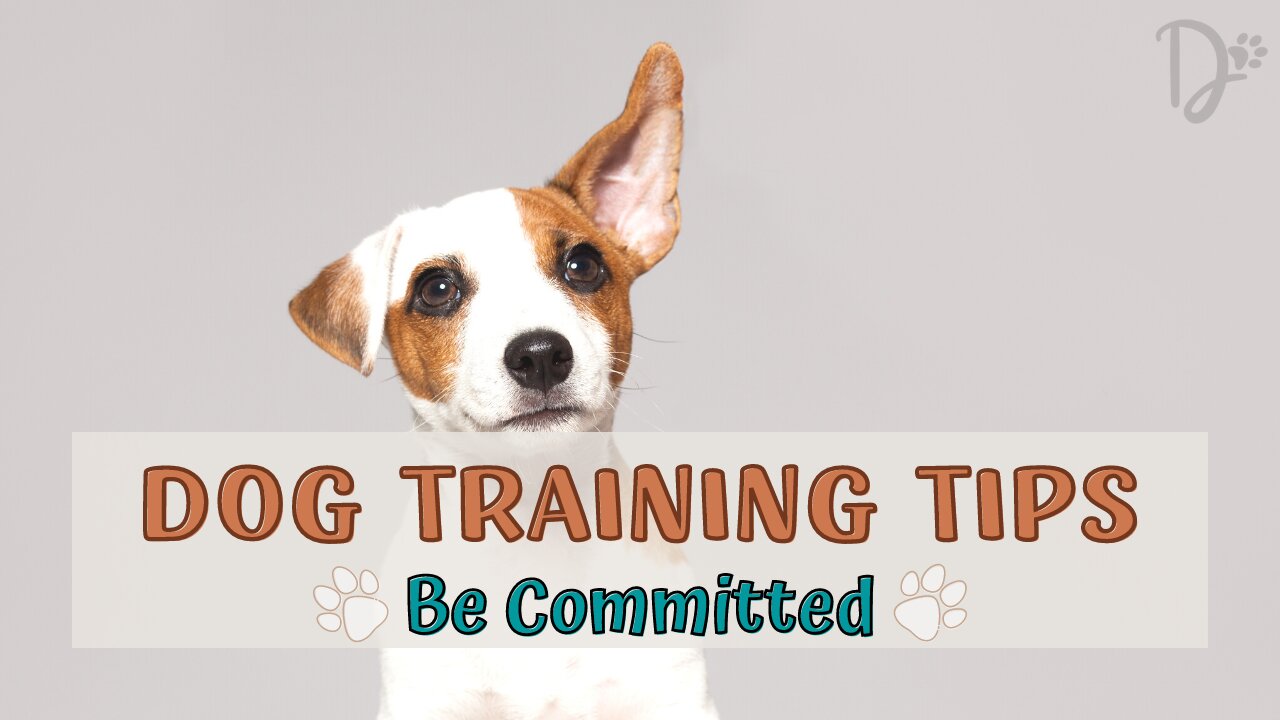 Dog Training Tips - . Be committed