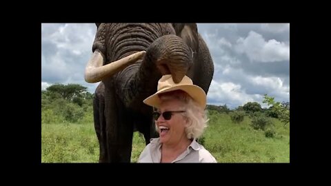 Elephant Takes off and Hides Woman's Hat in Mouth Then Returns it on Request