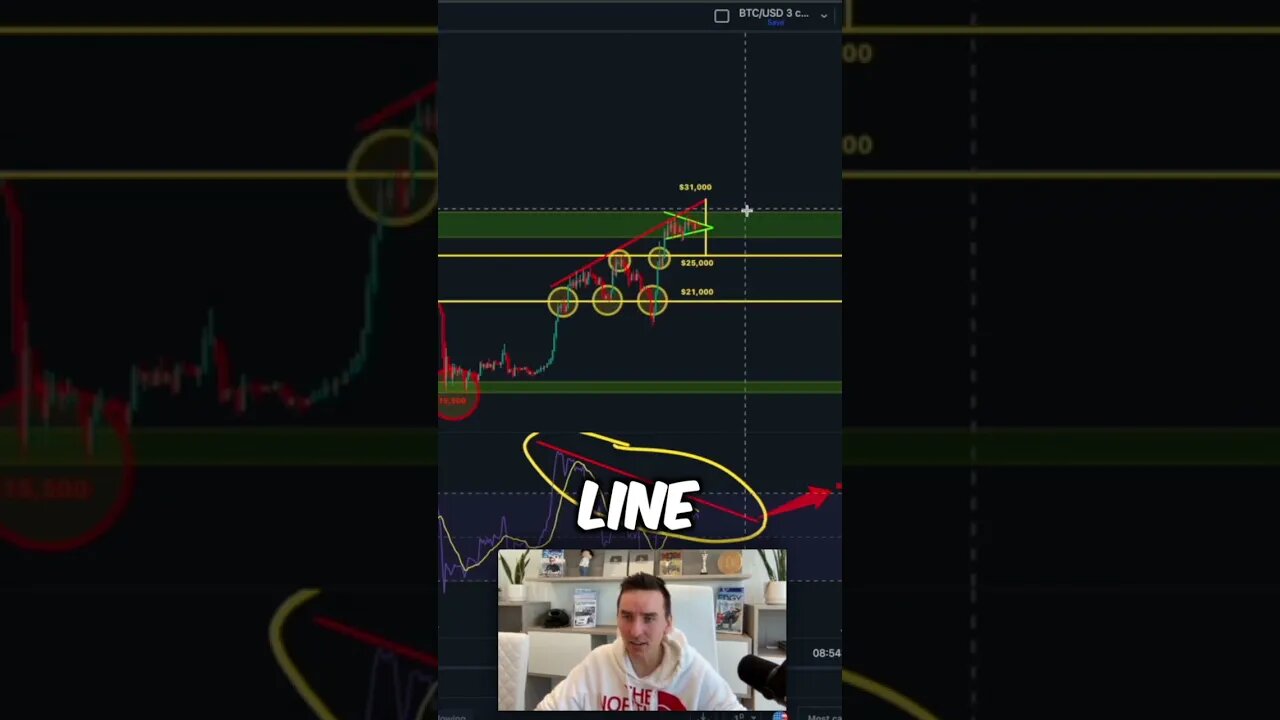 Bitcoin bull & bear case