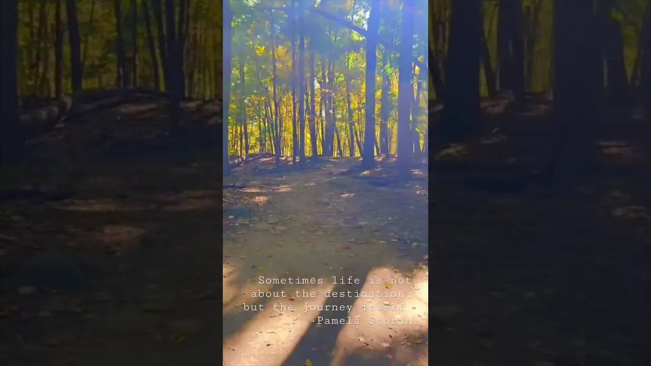 Inspirational Journey | Pamela Storch | Spirit of the Evergreens