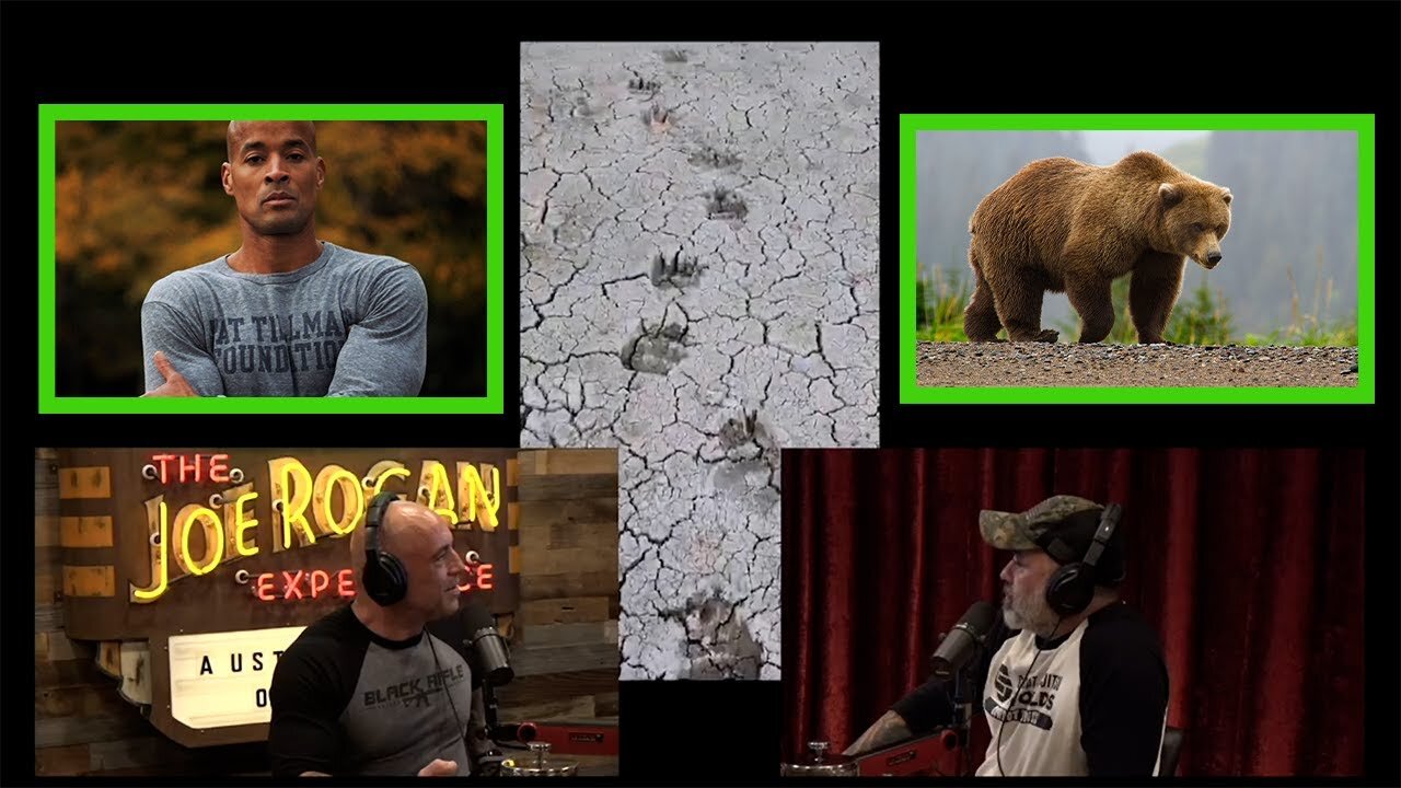 David Goggins Spotted Grizzly Bear Tracks While Smokejumping