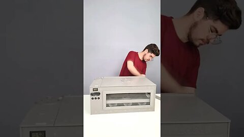 Comprei 4 Ovos de Avestruz 😲🥚