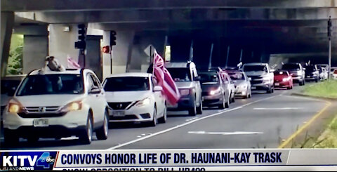 Hilo's Airport Convoy for Change