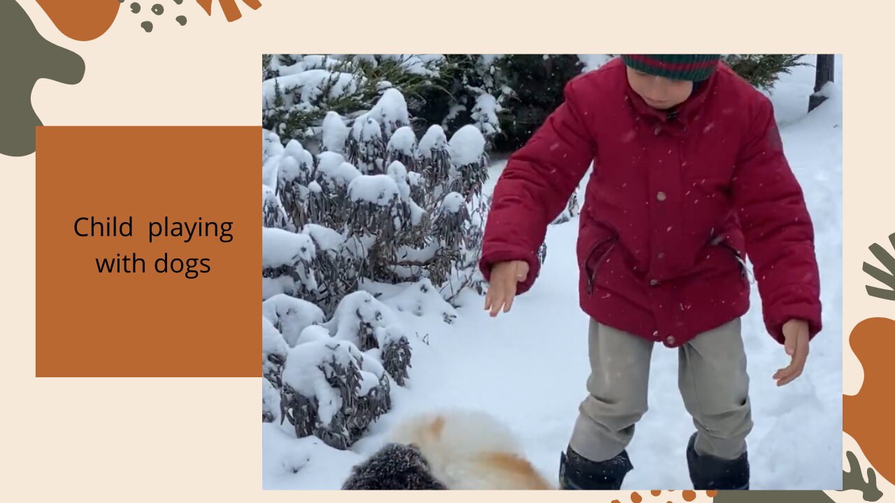 Child playing with dogs