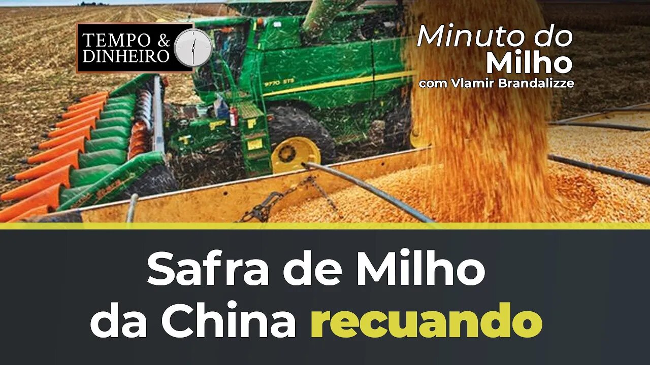 Safra de Milho da China recuando aponta USDA
