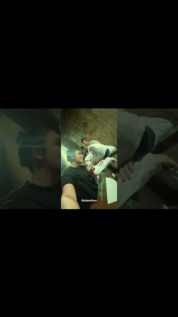 bimbim e seus amigos no hopi hari #shorts