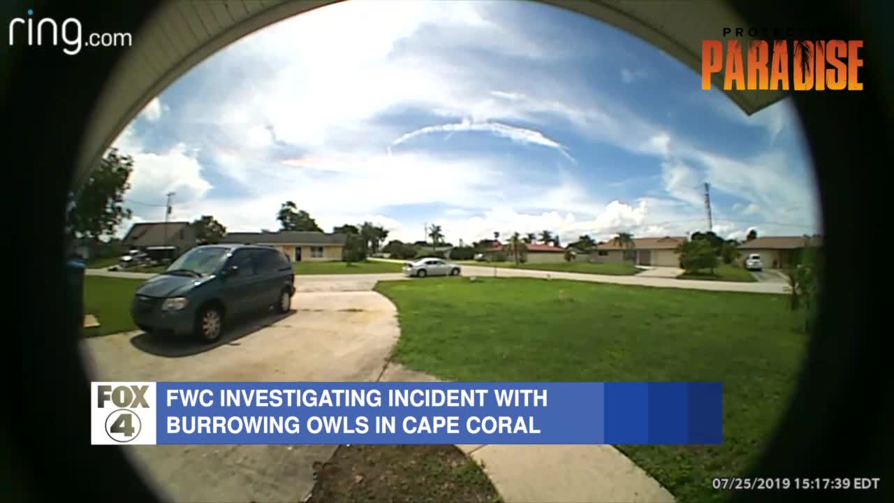 MORNING RUSH: What you need to know in SWFL