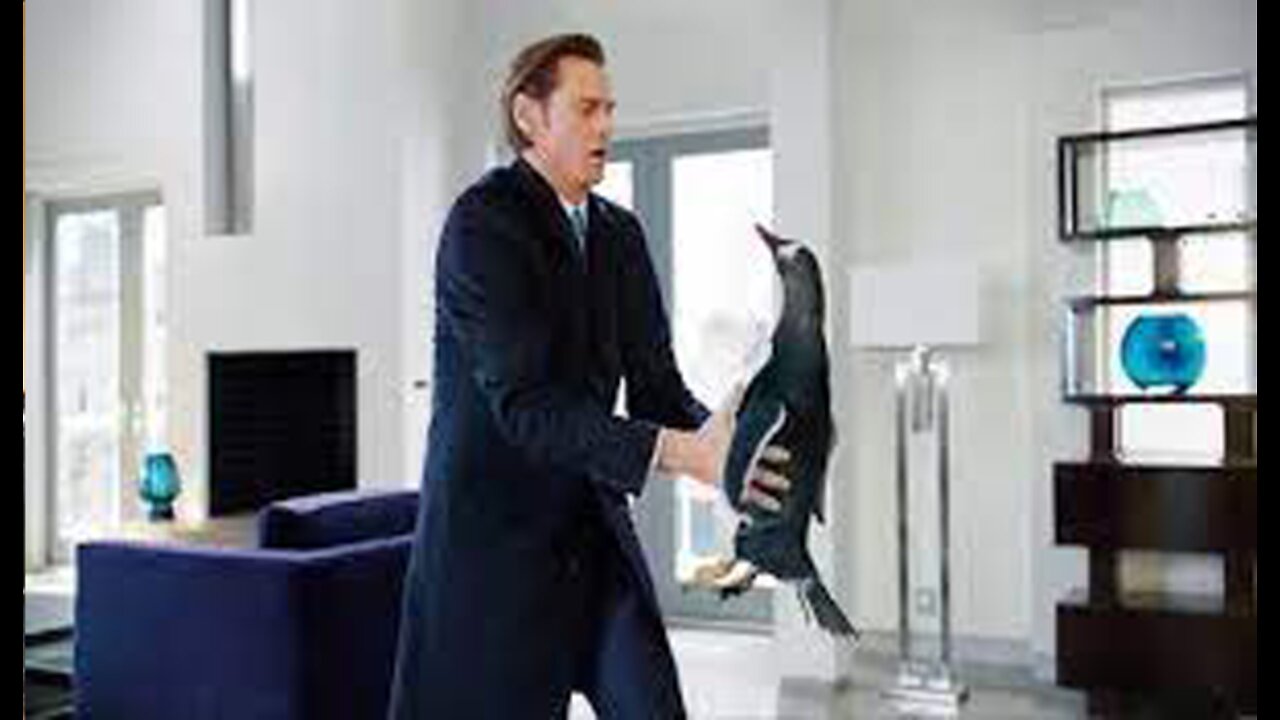 His Millionaire Father Dies And Leaves Him With Penguins Instead Of Money !_