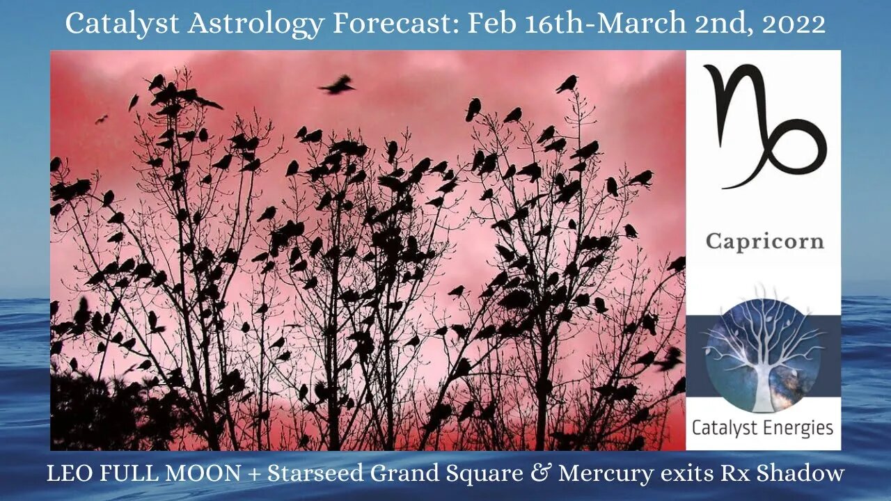 CAPRICORN - Catalyst Astrology Forecast - LEO FULL MOON + STARSEED GRAND SQUARE: Feb 16-March 2nd