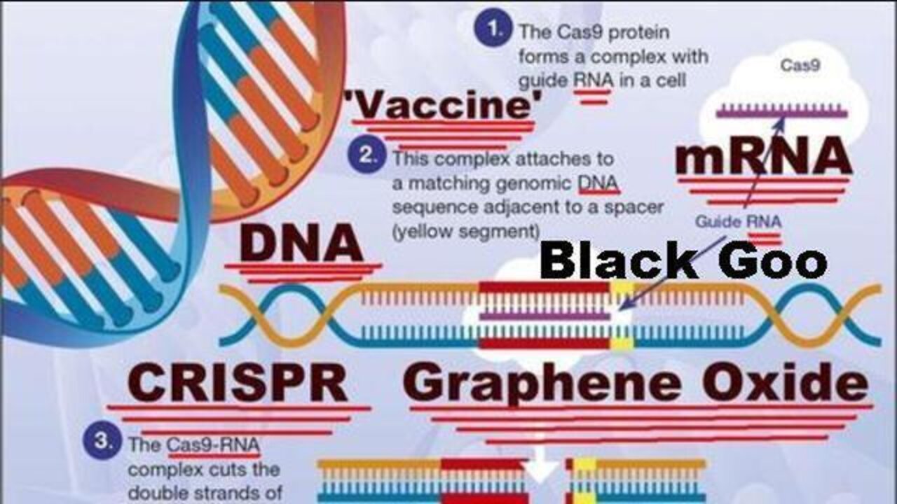 What is the Nanotechnology CRISPR? Graphene Oxide? Dark Matter? Back Goo? (Documentary)