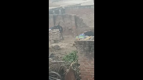 monkey🐒🐒 #funny #comedy#viral #trending #monkey #shorts #yt