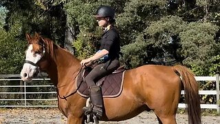 BARN VLOG: Bringing My OTTB Back to Work & Riding My Homebred Youngster