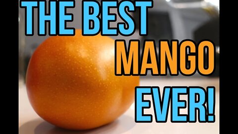 The Best Mango Ever!